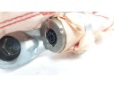 AIRBAG CORTINA DELANTERO DERECHO JX7BA042D94BG JX7BA042D94BG 