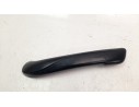 MOLDURA 806820336R 806820336R 8200548972