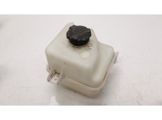 DEPOSITO EXPANSION 254302S050 