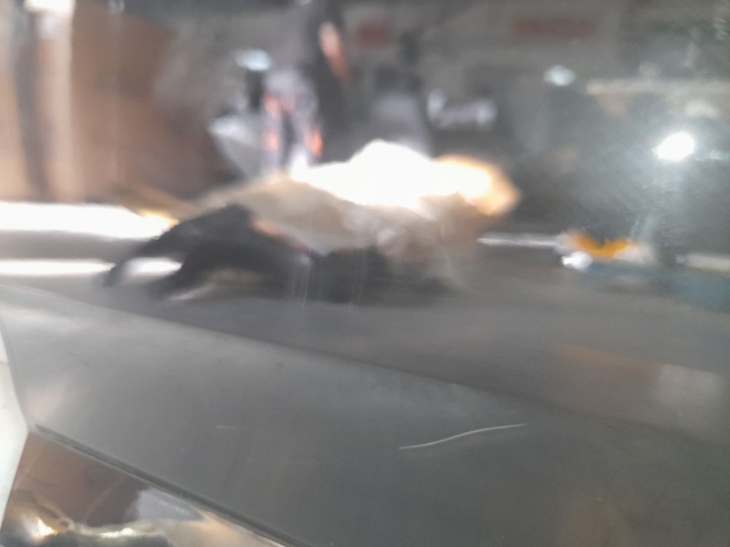 Recambio de puerta trasera izquierda para opel grandland x 120 aniversario referencia OEM IAM YP00119980  