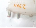 DEPOSITO EXPANSION G91H042020 G91H042020 