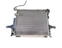 RADIADOR AGUA 36000087 36000087 
