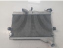 RADIADOR AGUA BEB1246100 BEB1246100 