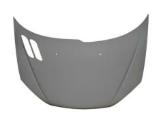 Recambio de capo para peugeot 206 berlina referencia OEM IAM 7901K1 109172130 PG0093100