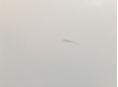 Recambio de puerta trasera izquierda para toyota corolla (e21) hybrid style referencia OEM IAM 6700402540   2