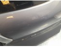 PORTON TRASERO 901007662R 