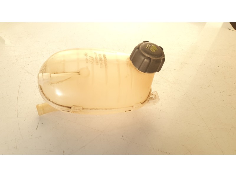 Recambio de deposito expansion para renault clio v business edition referencia OEM IAM 217108864R  
