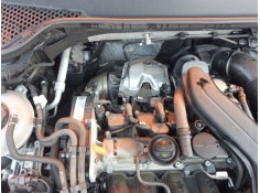 Recambio de filtro de particulas para seat leon st (5f8) 1.5 tsi referencia OEM IAM   