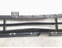 REJILLA PARAGOLPES CENTRAL 7876135000 