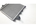 RADIADOR AGUA 111BF066 59213