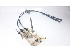 PALANCA CAMBIO 437942W100 