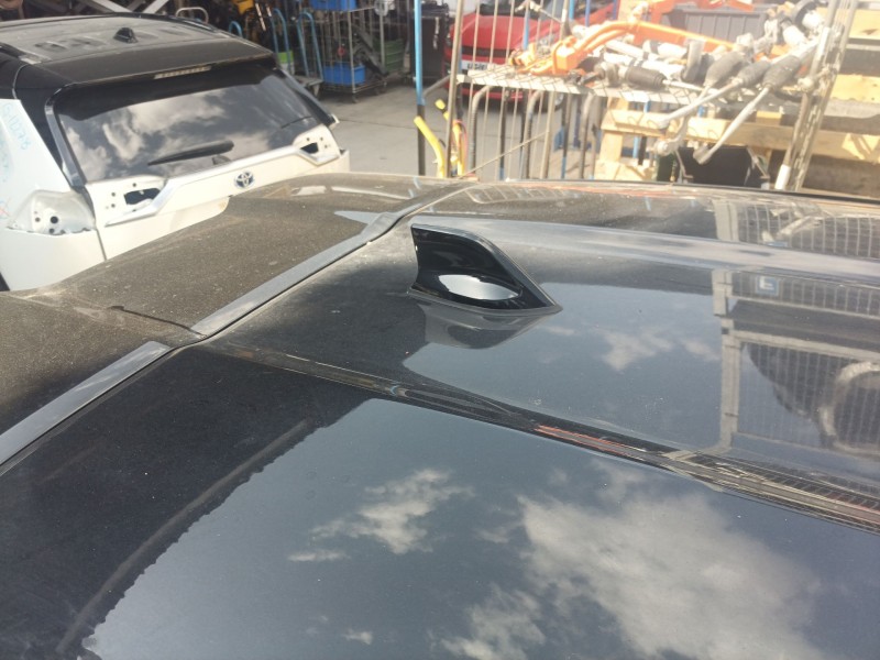 Recambio de antena para nissan juke (f16_) dig-t 117 referencia OEM IAM   