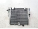 RADIADOR AGUA 19010K1BT01 19010K1BT01 
