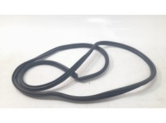 Recambio de gomas contorno puerta para toyota rav 4 v (_a5_, _h5_) 2.5 hybrid awd (axap54) referencia OEM IAM 2405TG0  