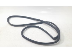 Recambio de gomas contorno puerta para toyota rav 4 v (_a5_, _h5_) 2.5 hybrid awd (axap54) referencia OEM IAM 2405TGV  