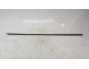 MOLDURA PUERTA TRASERA DERECHA 13260072 