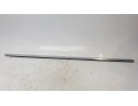 MOLDURA PUERTA DELANTERA DERECHA 13347219 