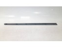 MOLDURA PUERTA DELANTERA DERECHA 9634011077 