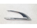 MOLDURA PARAGOLPE DELANTERA DERECHA 9810876777 