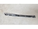 MOLDURA PARAGOLPE DELANTERA IZQUIERDA 9680404277 9680404277 