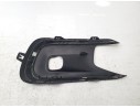 MOLDURA ANTINIEBLA IZQUIERDA 1617537480 1617537480 99890663 AA37703402