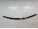 MOLDURA PARAGOLPE DELANTERA DERECHA VG04097MAR VG0531247 