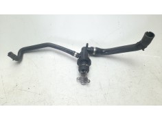 TERMOSTATO 17652299669 