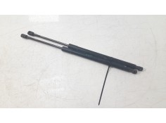 AMORTIGUADORES MALETERO / PORTON LR058520 