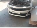 REFUERZO PARAGOLPES DELANTERO 9839643180 9839643180 
