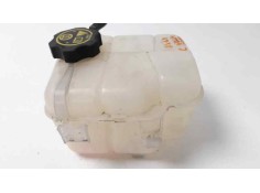 DEPOSITO EXPANSION 13393368 