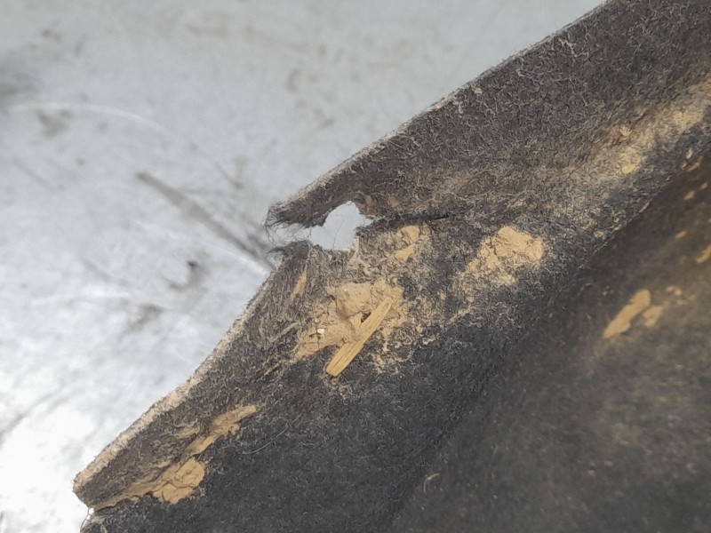 Recambio de paso rueda trasero derecho para audi q5 (8rb) 2.0 tdi quattro referencia OEM IAM   