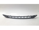 REJILLA PARAGOLPES CENTRAL 670040749 670040749 