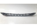 REJILLA PARAGOLPES CENTRAL 670040749 670040749 