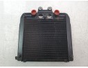 RADIADOR AGUA 2672204 