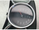 CUADRO INSTRUMENTOS 248095099R 248095099R 