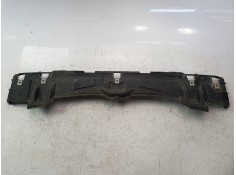 MOLDURAS DELANTERAS 24092210 51745A0 