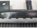 RADIADOR AGUA 214109411R 1301041BBG 