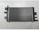 RADIADOR AGUA 214109411R 214109411R 1301041BBG