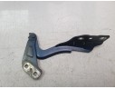 BISAGRA CAPO IZQUIERDA DS73F16801BD DS73F16801BD 
