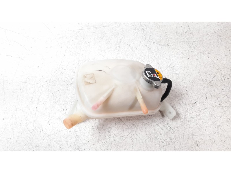 Recambio de deposito expansion para hyundai kona 1.0 tgdi cat referencia OEM IAM 25430F3300  