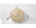 DEPOSITO EXPANSION JX618A80DC JX618A80DC 