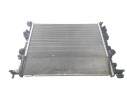 RADIADOR AGUA 2534601 