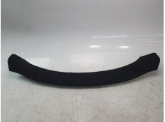 MOLDURA 173404410D 173404410D 