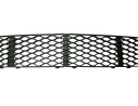 REJILLA PARAGOLPES CENTRAL A2118850053 A2118850053 107141424 ME0392120 223108H 107141424