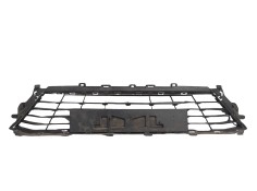 REJILLA PARAGOLPES DELANTERO 622542307R 107180404 