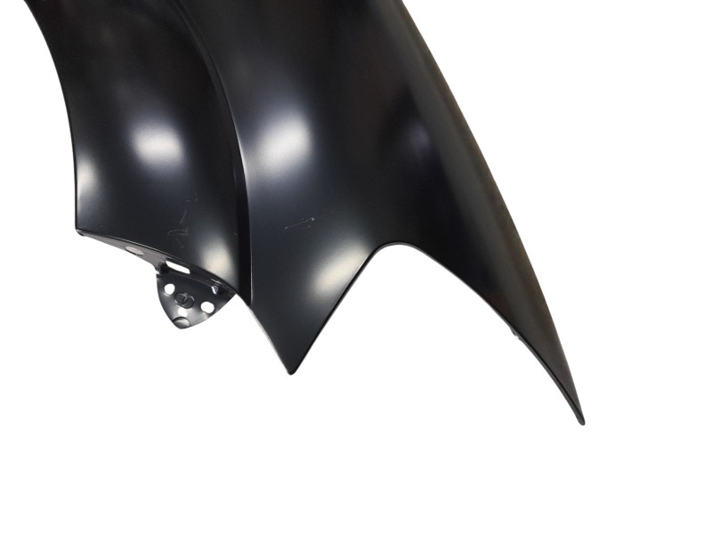 Recambio de aleta delantera derecha para citroën c3 referencia OEM IAM 7841S3 109073511 109073511 , CI3223013 , 5142512