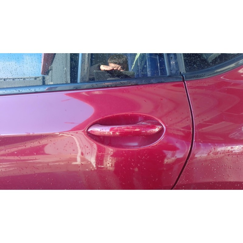 Recambio de maneta exterior trasera izquierda para bmw x4 (g02, f98) xdrive 30 i referencia OEM IAM   