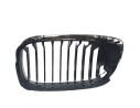 REJILLA DELANTERA 51137064316 BM0212003 