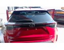 PORTON TRASERO 670050D802 670050D802 
