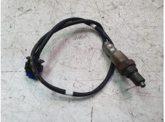 SONDA LAMBDA LX619G444BB 